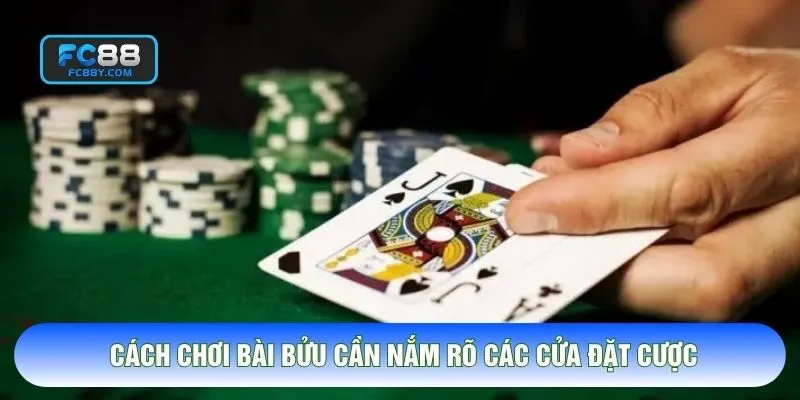 Cách chơi bài bửu cần nắm rõ các cửa đặt cược