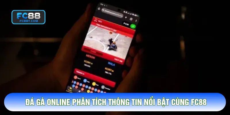Đá Gà Online Phân Tích Thông Tin Nổi Bật Cùng FC88