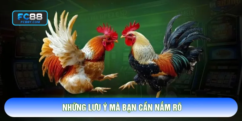 Những lưu ý mà bạn cần nắm rõ