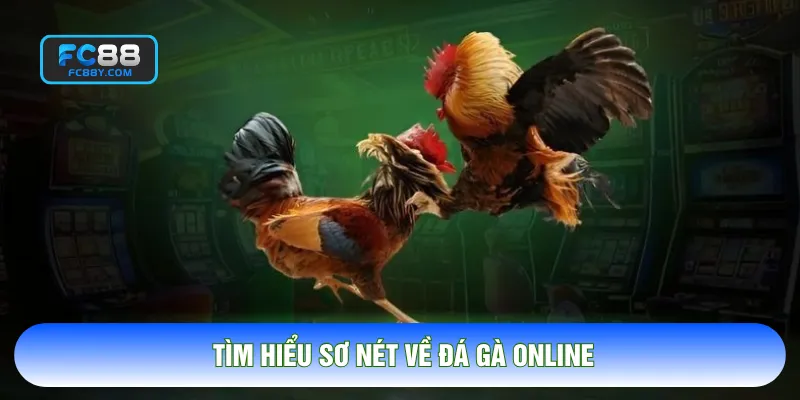 Tìm hiểu sơ nét về đá gà online
