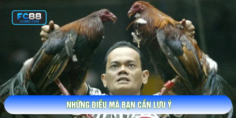 Những điều mà bạn cần lưu ý