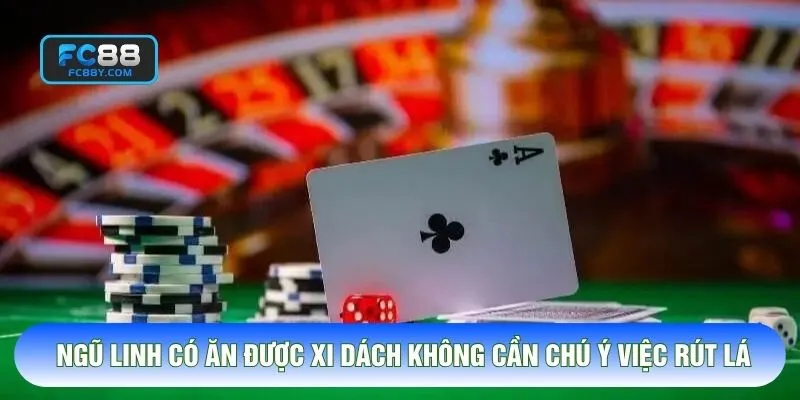 Ngũ linh có ăn được xi dách không cần chú ý việc rút lá