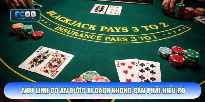 Ngũ linh có ăn được xì dách không được quan tâm