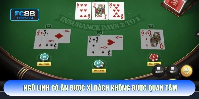 Ngũ linh có ăn được xì dách không cần phải hiểu rõ