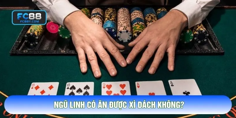 Ngũ Linh Có Ăn Được Xì Dách Không? Bí Quyết Làm Chủ Bàn Chơi