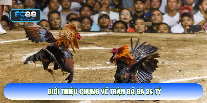 Giới thiệu chung về trận đá gà 24 tỷ