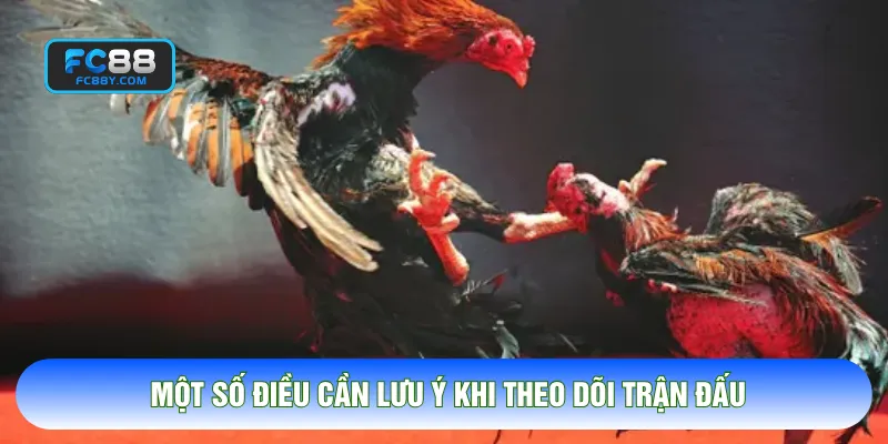 Một số điều cần lưu ý khi theo dõi trận đấu